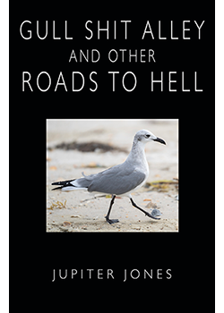 Gull Shit Alley and Other Roads to Hell : Jupiter Jones